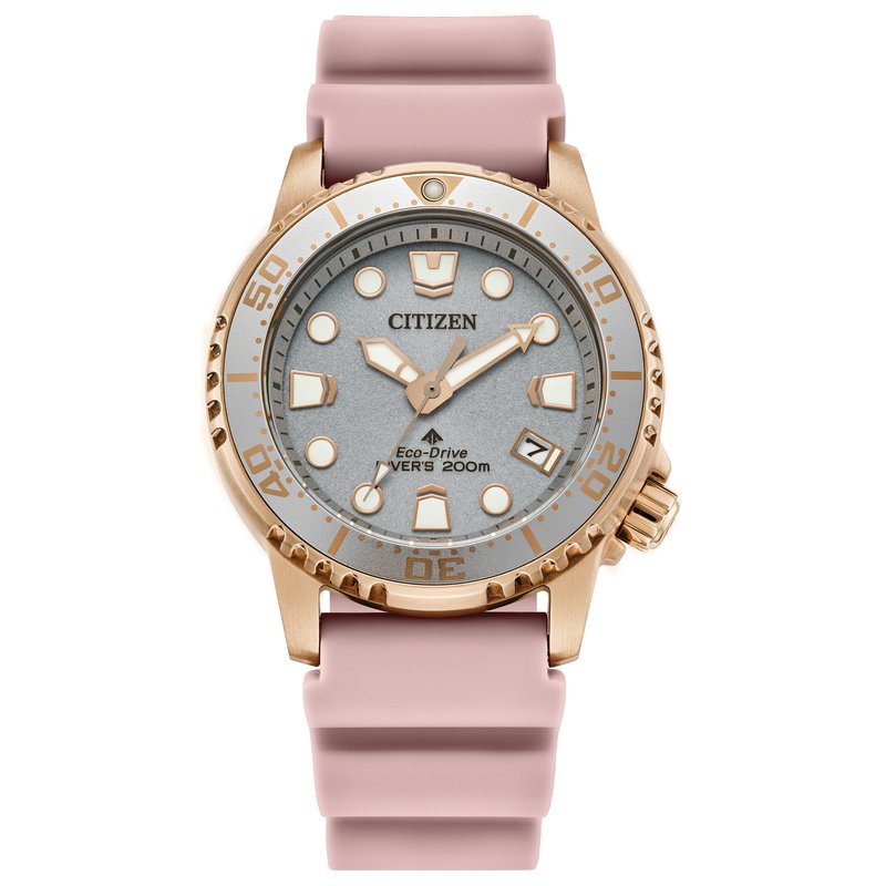 Citizen Stainless Steel Promaster Eco Women&